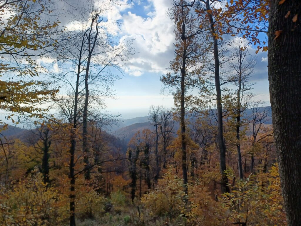 Medvednica hiking. Hire a guide for a Medvednica hike.
