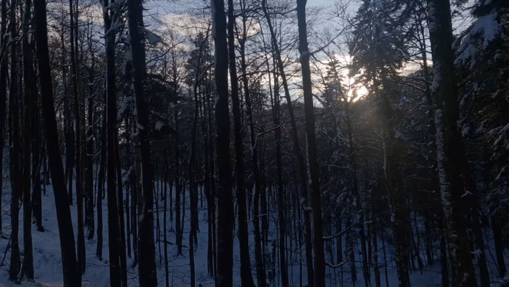 Risnjak national park trails