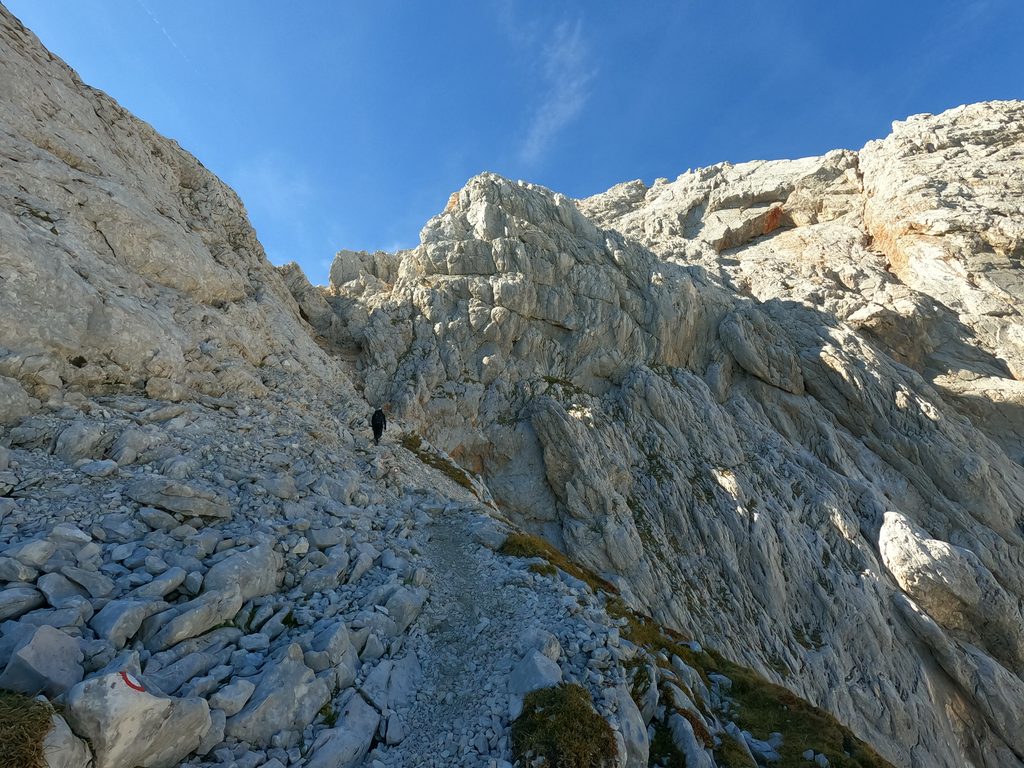 Towards Skuta